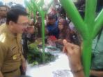 ahok-pasar_20160913_093927.jpg