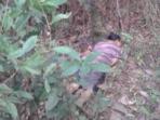 aina-korban-tewas_20151010_202609.jpg