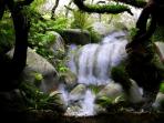 air-terjun-dalam-akuarium_20150502_111237.jpg