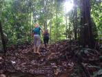 air-terjun_20151106_223318.jpg