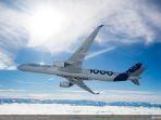 airbus-a350-1000.jpg