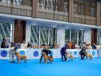 ajang-perkin-jaya-all-breed-dog-show-2023.jpg