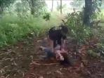 aksi-bullying-yang-dilakukan-tiga-siswi-smp-kepada-seorang-murid-sd.jpg