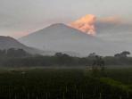 aktivitas-gunung-rinjani_20160802_091937.jpg