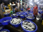 aktivitas-pasar-ikan-muara-baru_20160612_145406.jpg