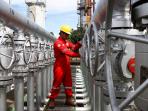 aktivitas-pengecekan-fasilitas-produksi-di-stasiun-pengumpul-pt-pertamina-ep-subang-jawa-barat_20160718_190218.jpg