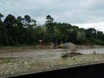 aktivitas-peti-di-hutan-produksi-tabir-barat.jpg