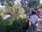 alang-alang-terbakar_20160823_184015.jpg