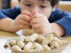alergi-kacang.jpg
