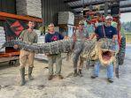 aligator-raksasa-yang-berhasil-ditangkap-oleh-empat-orang-di-sungai-yazoo-mississippi-as-8.jpg