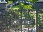 alnwick-poison-garden-taman-yang-penuh-tanaman-beracun-di-inggris.jpg