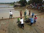 alsintan-jadi-solusi-kekurangan-tenaga-kerja-tani-di-bali.jpg