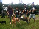 alun-alun-lapangan-sam-ratulangi_20150714_211049.jpg