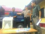amplop-pengantin_20160720_160603.jpg