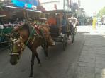 andong-malioboro_20151229_172209.jpg
