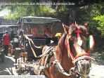 andong-wisata-fasilitasi-pemudik-dan-wisatawan-di-keraton-solo_20170629_165823.jpg