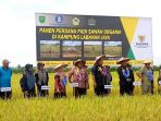 anggota-baznas-hadiri-panen-raya-padi-organik_20180309_114923.jpg