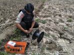anggota-brimob-detasemen-gegana-banyumas-senin-5112018-siang_20181105_171714.jpg