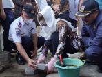 anggota-komisi-v-dpr-ri-daerah-pemilihan-dapil-provinsi-jawa-tengah-viii-hj-novita-wijayanti.jpg