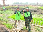 anggota-tni-serbu-sarang-tikus_20151117_170625.jpg