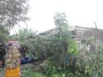 angin-kencang-di-gayo-luwes_20170429_144000.jpg