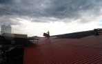 angin-puting-beliung-landa-pontianak_20150123_214534.jpg