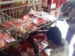 angpao_20160206_154411.jpg