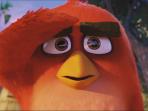 angry-bird-film_20160516_123810.jpg