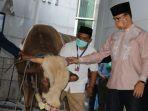 anies-baswedan-serahkan-sapi-kurban_1.jpg