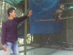 animal-keeper-elang_20160119_062945.jpg
