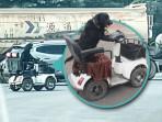 VIRAL! Anjing di China Mengemudi Skuter Listrik, Pemiliknya dapat Teguran Polisi