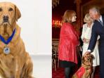 anjing-daisy_20141122_123046.jpg