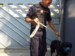 anjing-di-wihara-nih2_20150602_113436.jpg
