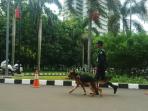 anjing-dpr-nih2_20160114_135401.jpg
