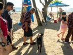 anjing-gila-rabies_20150413_222704.jpg