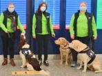 anjing-great-river-di-bandara-finlandia.jpg