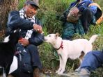 anjing-gunung-agung_20171009_162924.jpg