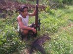 anjing-hutan111.jpg