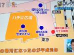 anjing-jepang-nih2_20160602_153848.jpg