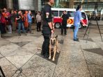 anjing-nih3_20180115_155902.jpg