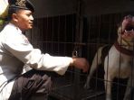 anjing-nih6_20170807_203324.jpg