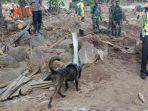 anjing-pelacak-mencari-korban-longsor-di-lembata.jpg
