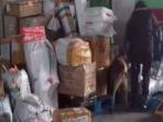 anjing-pelacak_20160706_123931.jpg