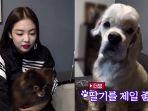 anjing-peliharaan-milik-jennie-black-pink-mendadak-jadi-sorotan-karena-diberinama-kai.jpg