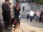 anjing-placak.jpg