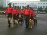 anjing-polisii1.jpg
