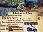 anjingnya-hilang-bos-konter-hp-di-kalbar-buat-sayembara-berhadiah-honda-beat-baru-ini-ceritanya.jpg