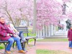 anniesa-andika-first-travel_20170813_135440.jpg