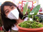 anthurium-veitchii-mini-rp-35-juta-dipamerkan_20210205_210725.jpg