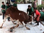 antri-untuk-mendapatkan-daging-qurban-di-jakarta_20160914_095010.jpg